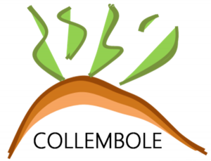 Logo de Collembole